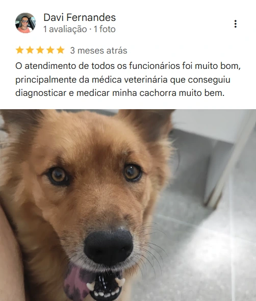 Avaliação 1 – 5 estrelas