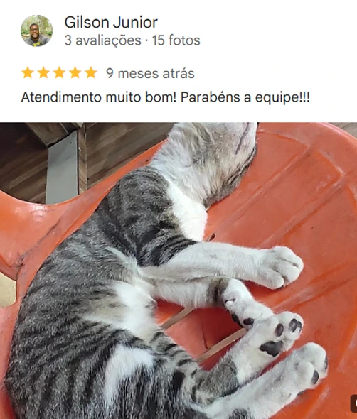 Avaliação 2 – 5 estrelas