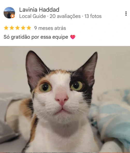 Avaliação 4 – 5 estrelas